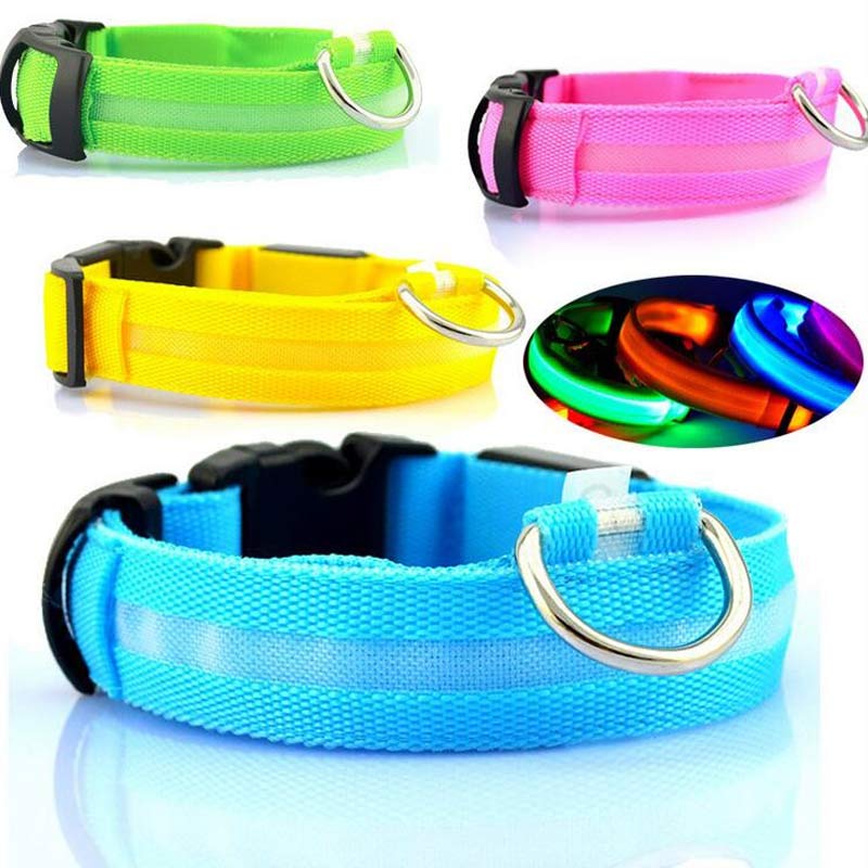 Collare LED ad Alta Visibilità: Sicurezza Assoluta al Buio 💡🐾