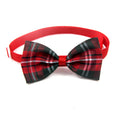 🐶🎀 Papillon Scozzese Elegante per Cani e Gatti - Stile da Gran Galà!