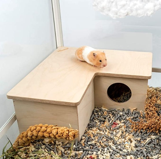 Labirinto in Legno di betulla Multi-Stanza: Esplorazione Naturale, Tane Sicure e Zero Noia 🐹🪵