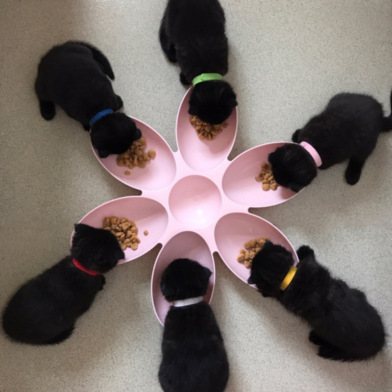 Ciotola Margherita Multi-Posto: Il Banchetto per le Cucciolate! 🌼🐶
