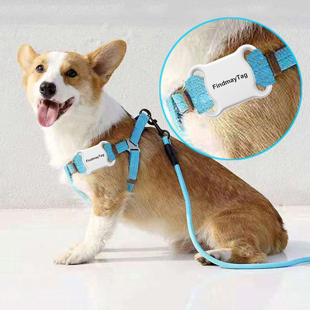 🍏📍 Smart Pet Tracker "Findmay Tag" per Cani e Gatti - Bluetooth - Sicurezza Senza Abbonamenti!