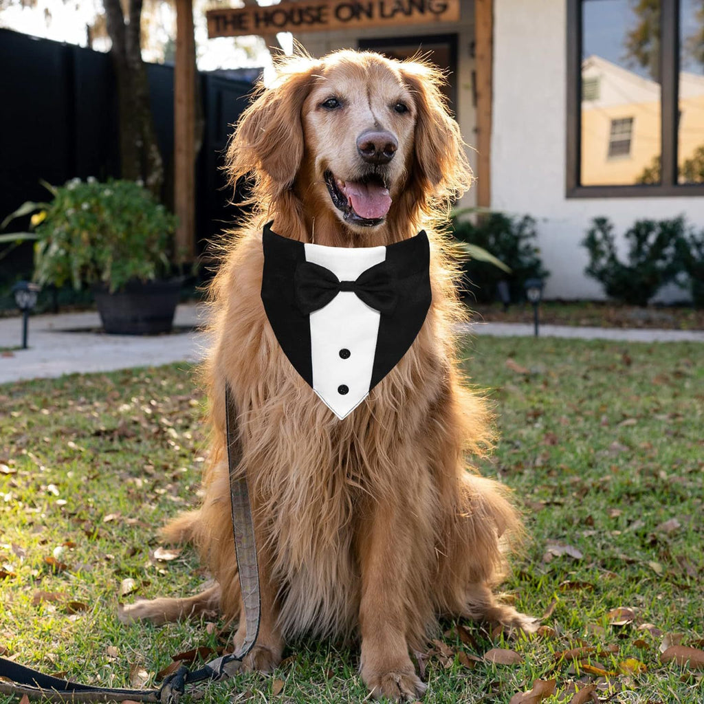 🐶🤵 Bandana Smoking con Papillon per Cani - L'Invitato d'Onore Perfetto!