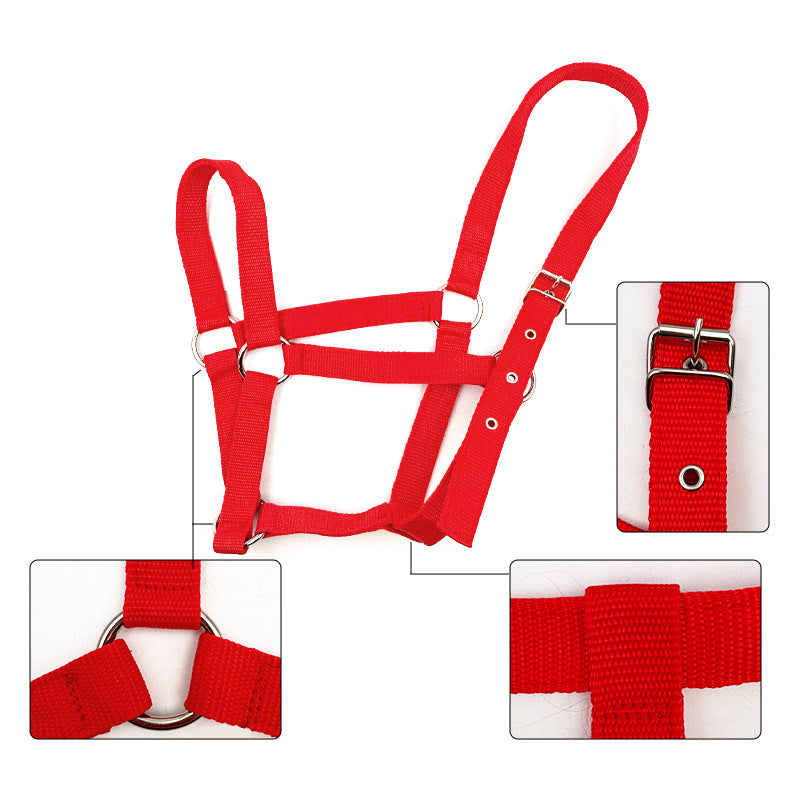 🐴🔗 Set Completo Capezza e Longhina Coordinata in Nylon - Resistenza e Stile in Scuderia