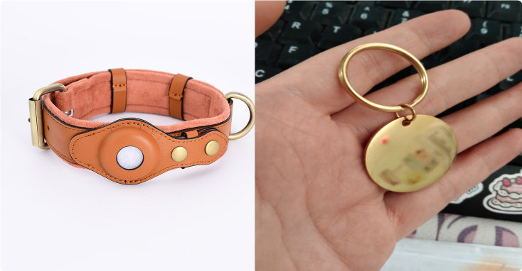 🛡️🐕 Collare Premium per Cani con Scomparto Protettivo per Tracker e AirTag