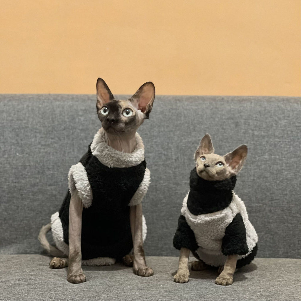 Maglione Termico Invernale per Gatti: Calore Avvolgente, Tessuto Elastico e Zero Brividi 🧶😻