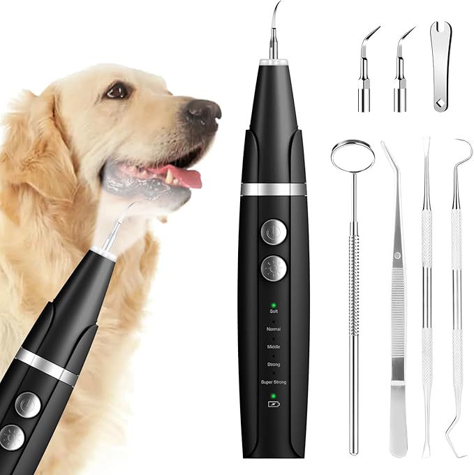 Kit Igiene Dentale Professionale – Rimuovi Placca e Tartaro a Casa