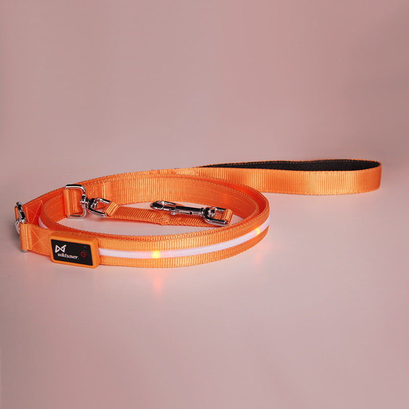 🐶💡 Guinzaglio Luminoso a LED Ricaricabile USB - Passeggiate Serali in Sicurezza!