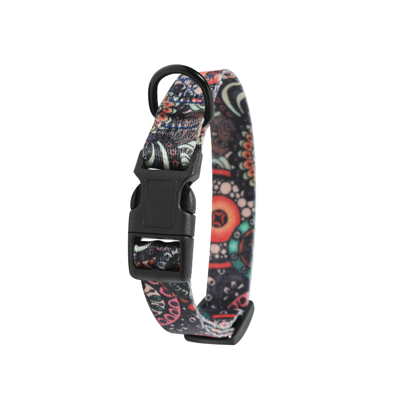 Set Collare e Guinzaglio con Fantasia Etnica: Stile Unico in Passeggiata! 🐕