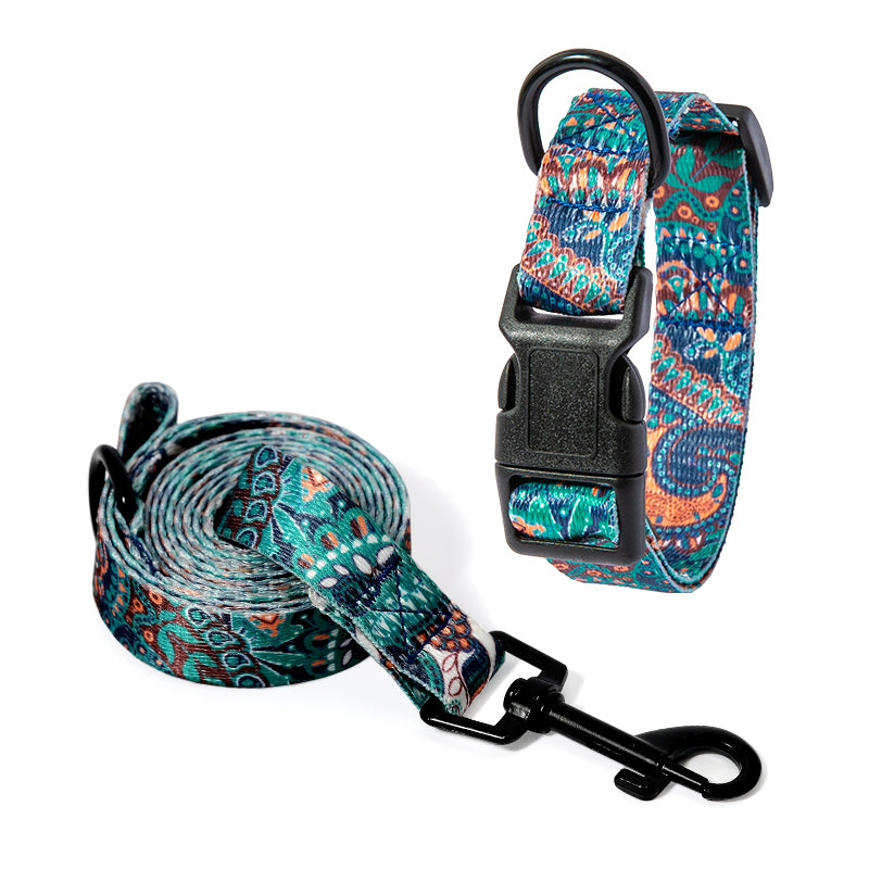 Set Collare e Guinzaglio con Fantasia Etnica: Stile Unico in Passeggiata! 🐕