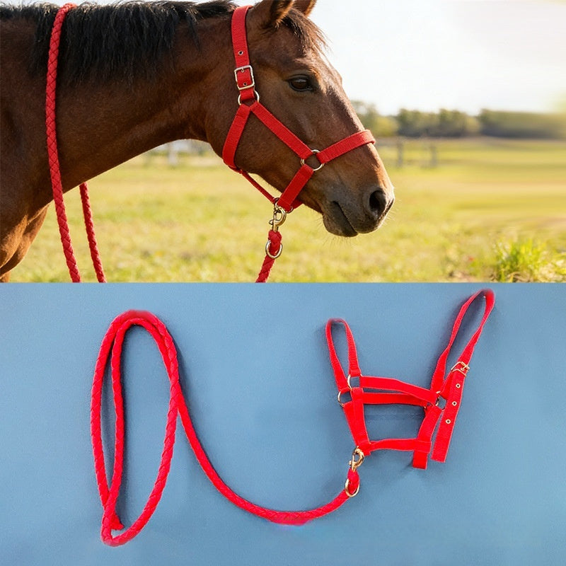 🐴🔗 Set Completo Capezza e Longhina Coordinata in Nylon - Resistenza e Stile in Scuderia