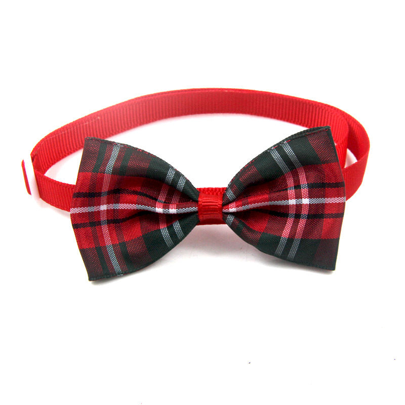 🐶🎀 Papillon Scozzese Elegante per Cani e Gatti - Stile da Gran Galà!