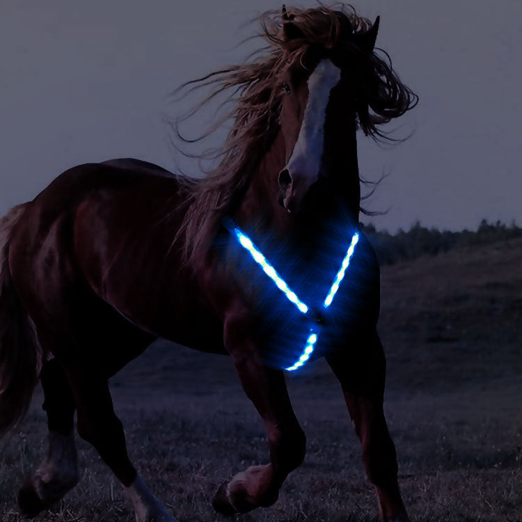 Pettorale Luminous LED: Visibilità Notturna, Stile Inconfondibile e Sicurezza Assoluta 🌟🐎