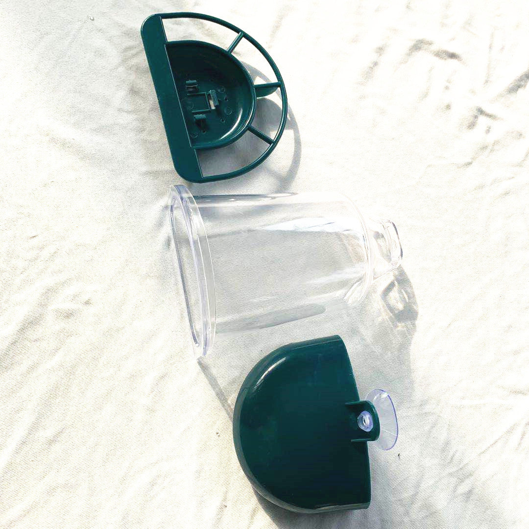 Dispenser Semi Automatico: Scorta Continua, Natura Vicina e Zero Fame 🌳🦜