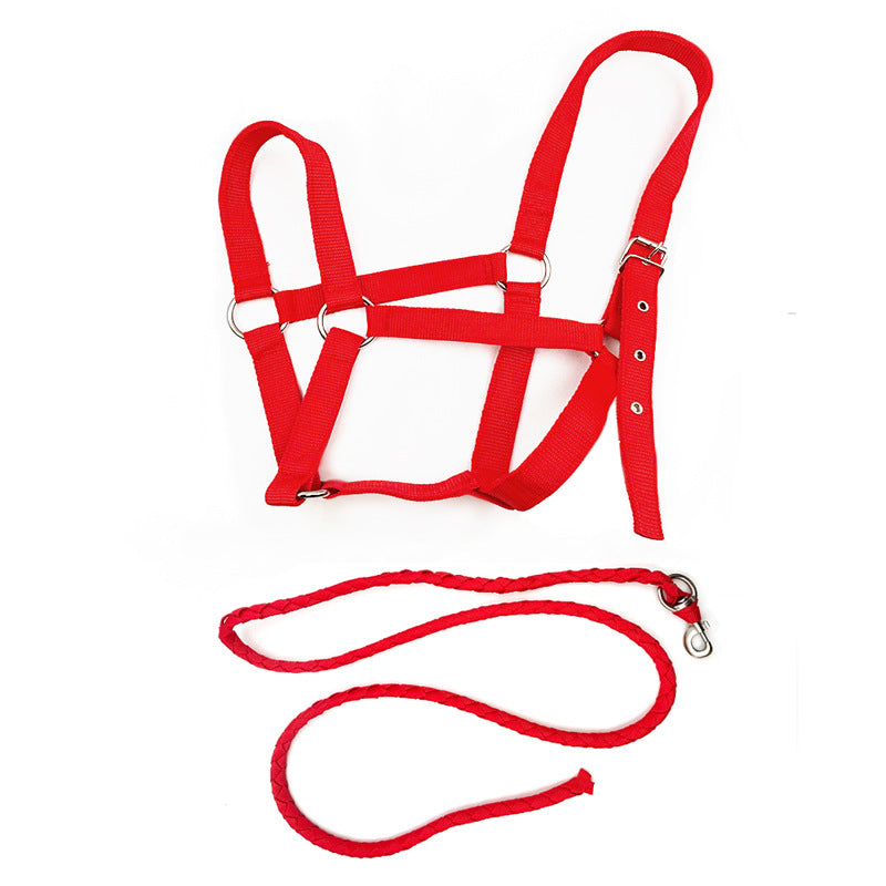 🐴🔗 Set Completo Capezza e Longhina Coordinata in Nylon - Resistenza e Stile in Scuderia