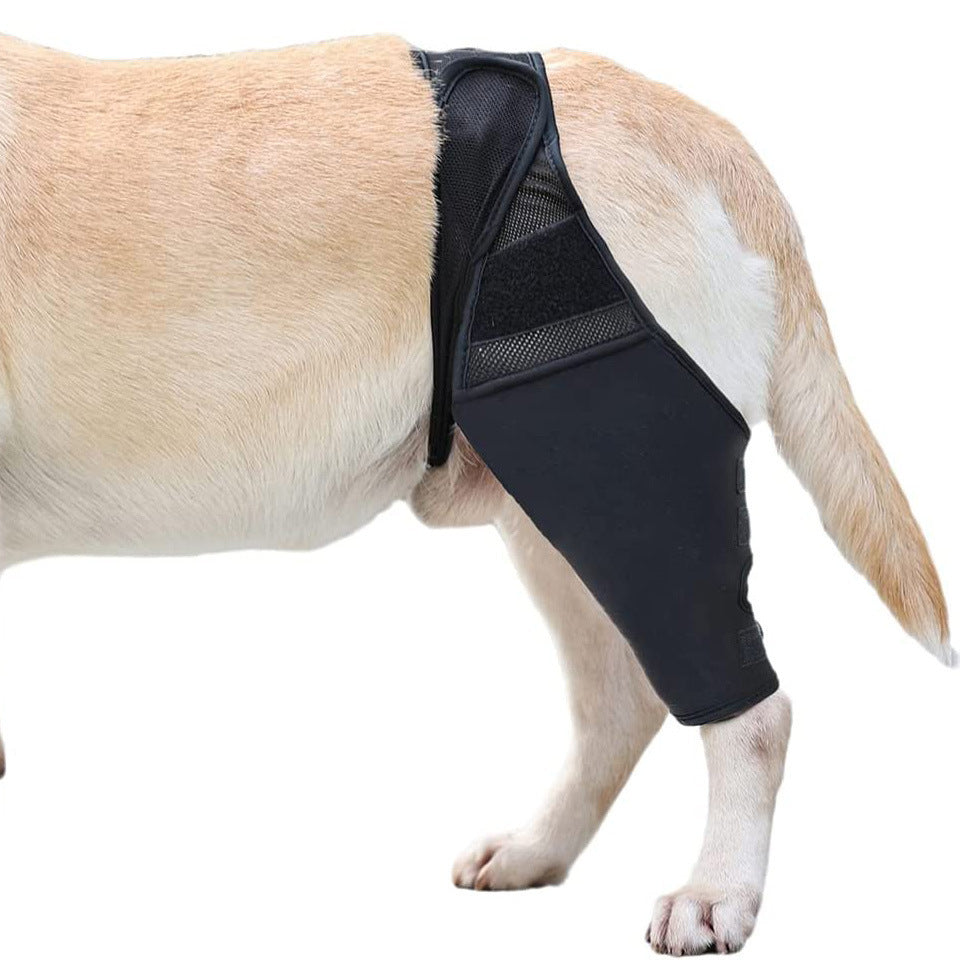 🩺🐾 Tutore Protettivo Ortopedico per Zampa del Cane - Supporto e Recupero Rapido!