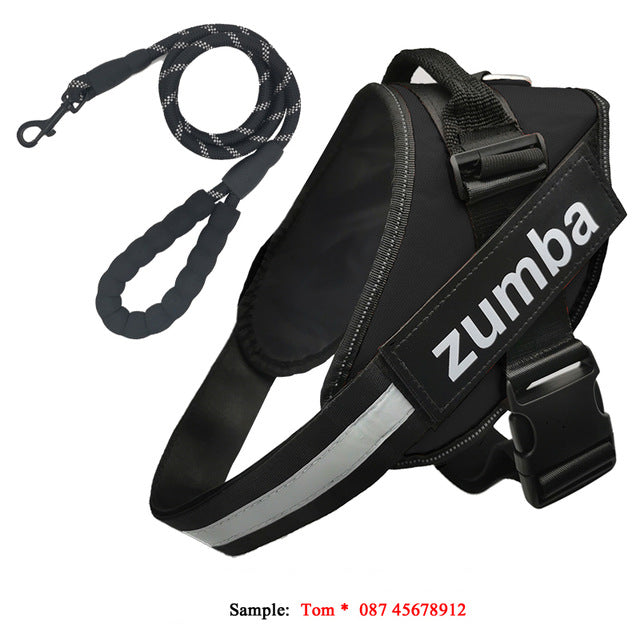Pettorina Personalizzabile"ActiveDog" No-Pull: Controllo Assoluto, Design Ergonomico e Zero Tirate 🐕💪