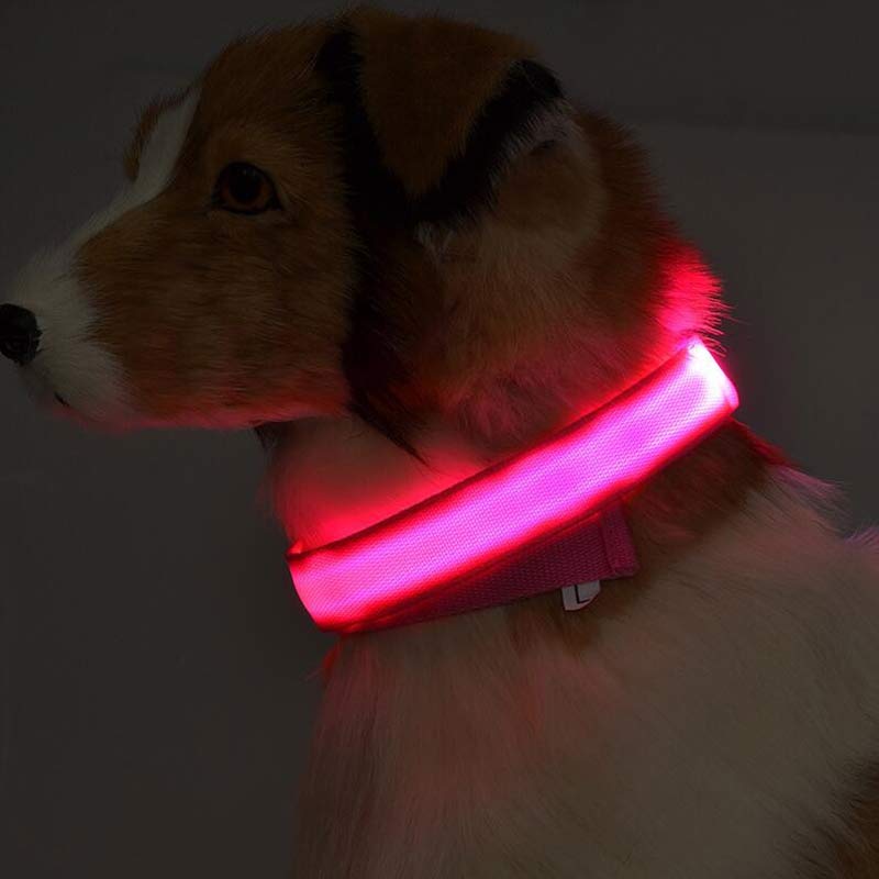 Collare LED ad Alta Visibilità: Sicurezza Assoluta al Buio 💡🐾