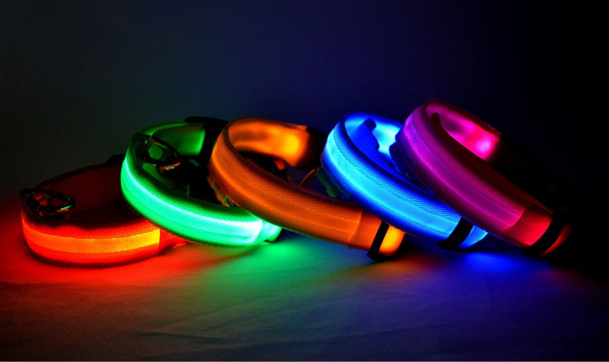 Collare LED ad Alta Visibilità: Sicurezza Assoluta al Buio 💡🐾