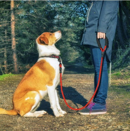 ✨🐕 Guinzaglio in Corda Riflettente con Manico in Spugna EVA - Zero Bruciature!