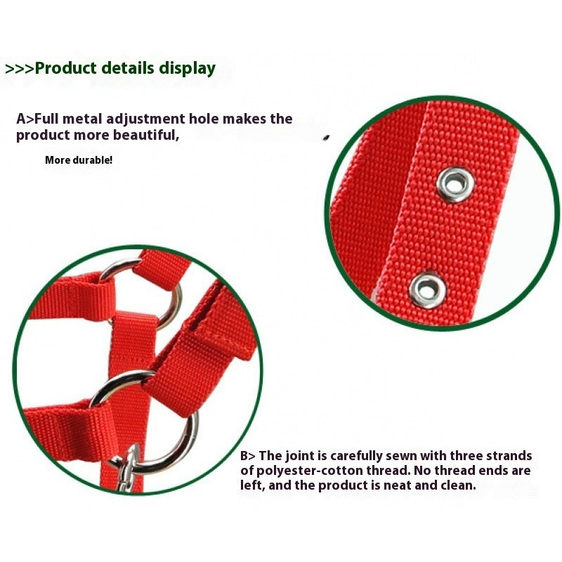 Capezza Premium Imbottita: Controllo Sicuro, Morbidezza Estrema e Zero Fiaccature 🐎✨