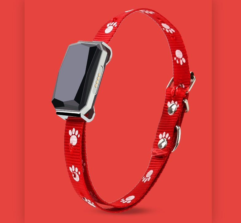 🌍📍 Collare Localizzatore GPS BeiDou per Cani con Luci LED - Massima Sicurezza!
