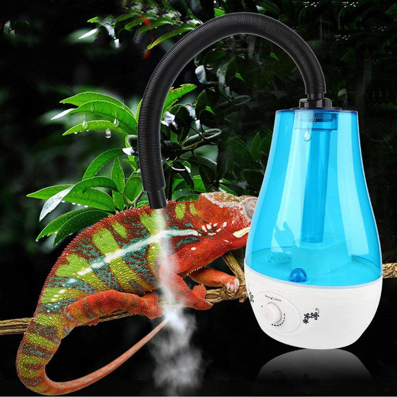 Umidificatore Nebulizzatore per Terrario: Clima Tropicale, Idratazione Sicura e Zero Muta Secca 🦎🌫️