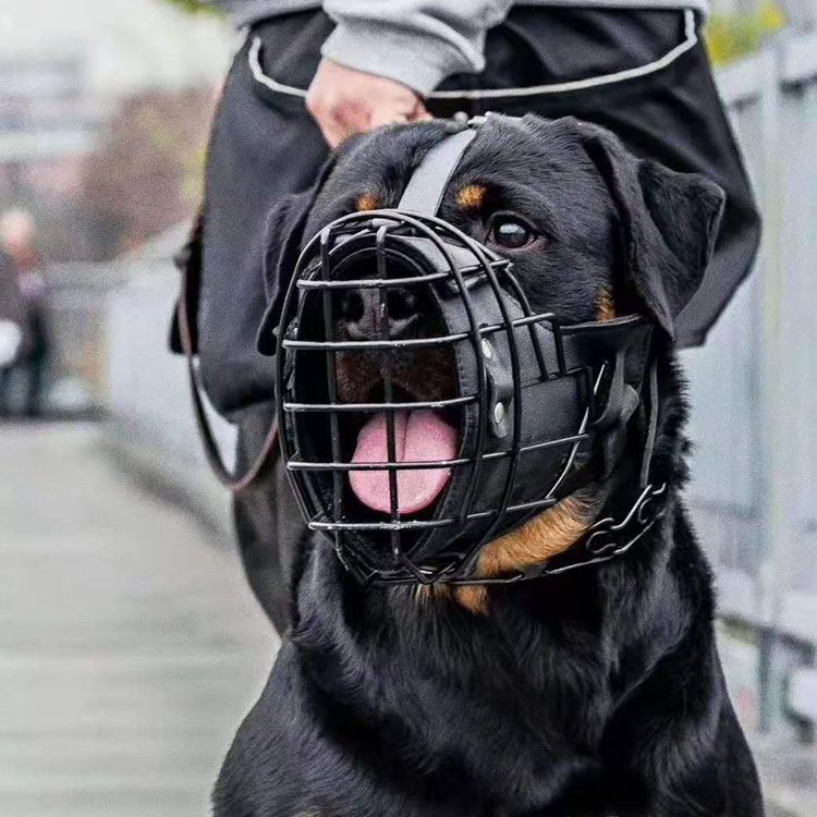 Museruola Tattica a Gabbia per Cani Grandi