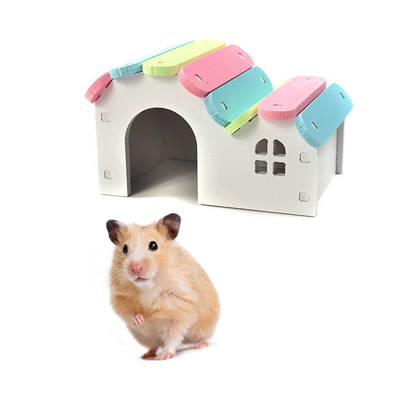 Casetta Rifugio "Rainbow": Design Colorato, Riposo Sicuro e Zero Stress 🌈🐹