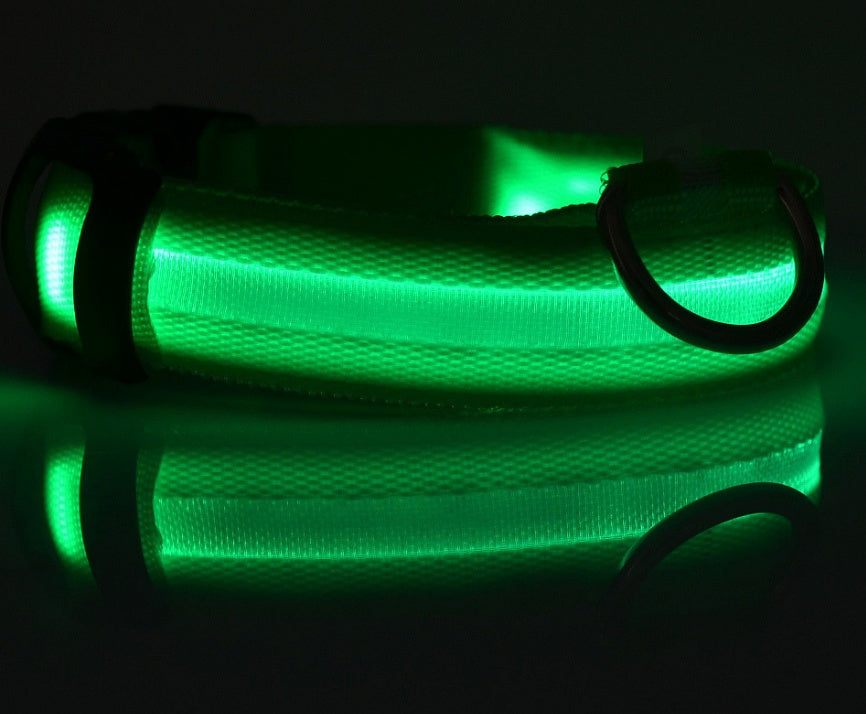 Collare LED ad Alta Visibilità: Sicurezza Assoluta al Buio 💡🐾