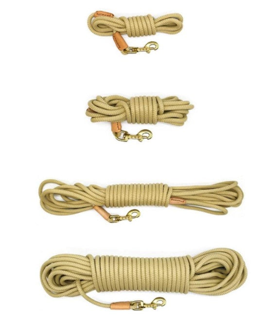 🐶📏 Lunghina da Addestramento e Ricerca - Fino a 20 Metri di Libertà Controllata!