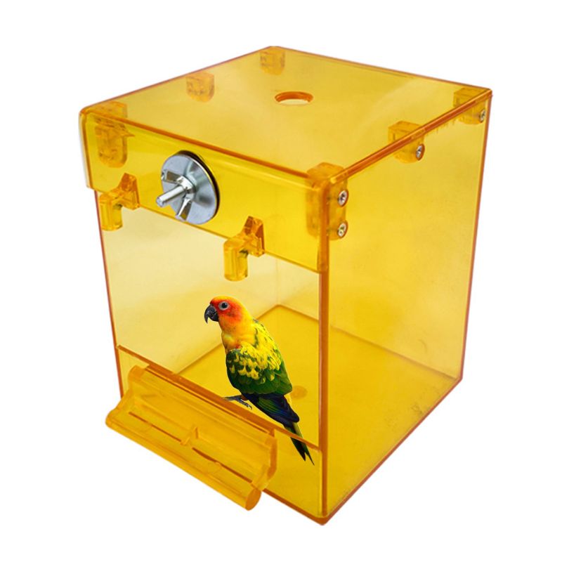 Bagnetto Esterno in Acrilico Premium: Spa Privata, Vista a 360° e Zero Stress 🦜✨