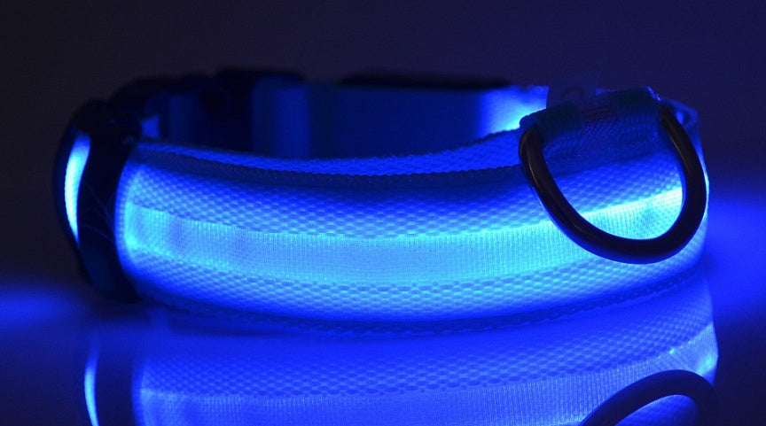 Collare LED ad Alta Visibilità: Sicurezza Assoluta al Buio 💡🐾