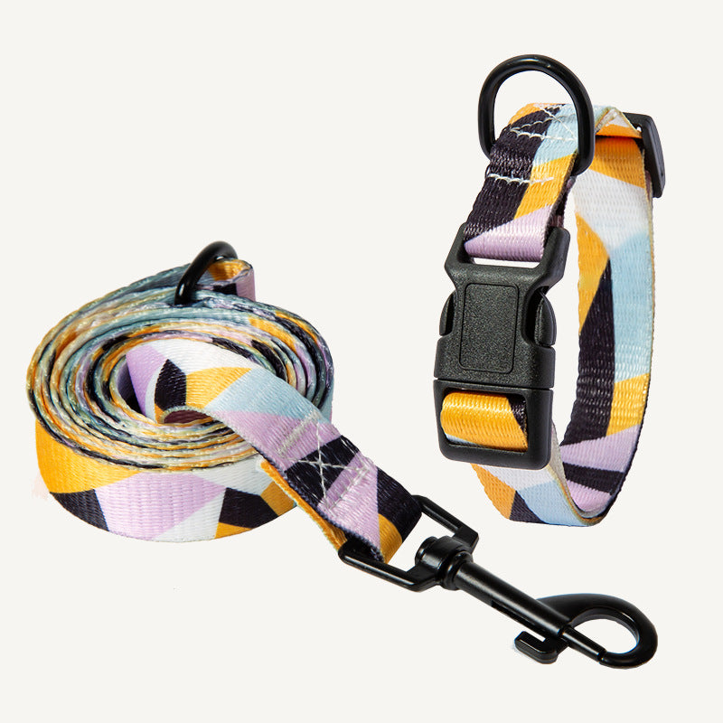 Set Collare e Guinzaglio con Fantasia Etnica: Stile Unico in Passeggiata! 🐕