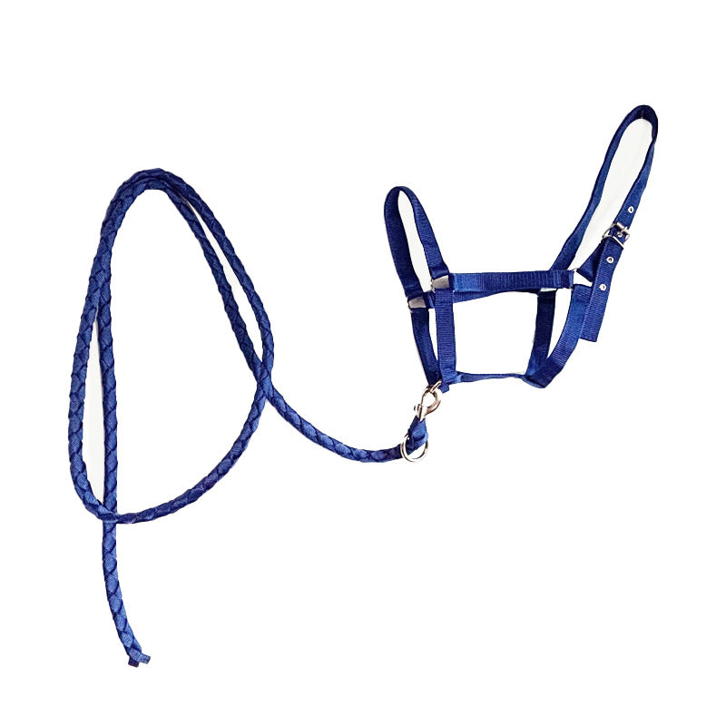 🐴🔗 Set Completo Capezza e Longhina Coordinata in Nylon - Resistenza e Stile in Scuderia