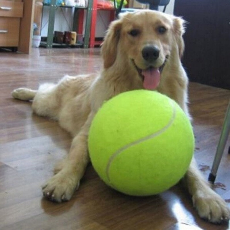 🎾 Palla da Tennis Gigante in Gomma: Divertimento Extra-Large! 🐕