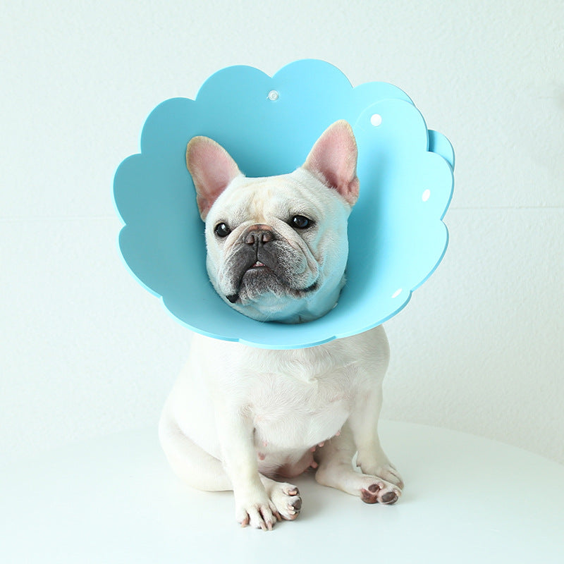 🌻🐾 Collare Protettivo Morbido "Girasole" - L'Elisabettiano che Non Fa Paura!