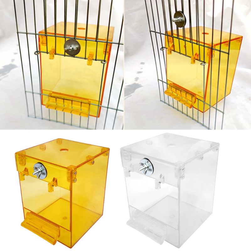 Bagnetto Esterno in Acrilico Premium: Spa Privata, Vista a 360° e Zero Stress 🦜✨