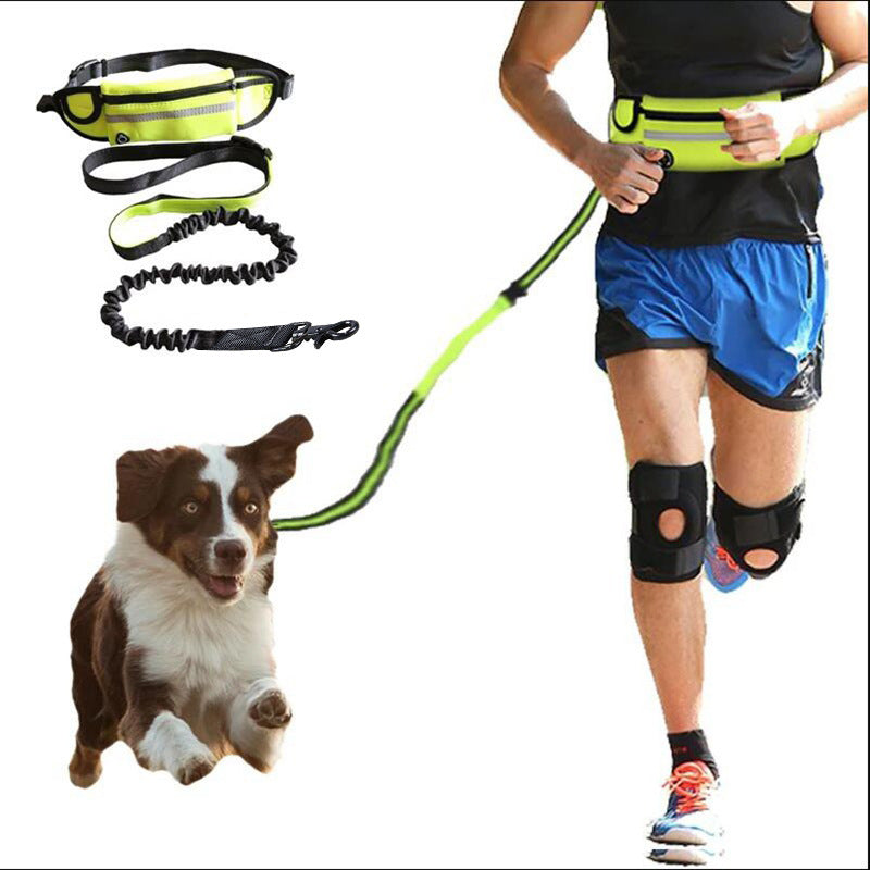Guinzaglio a Marsupio "FreeRun": Corsa, Libertà e Zero Strappi 🏃‍♂️🐕