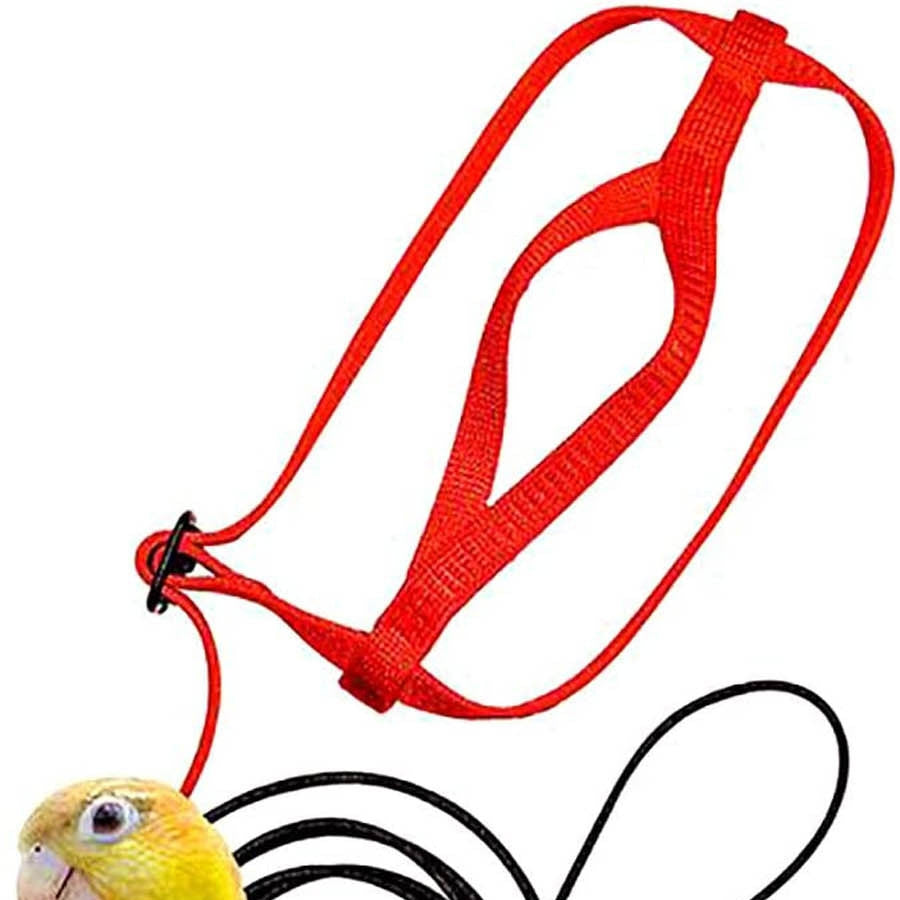 Pettorina da Volo "SkySafe": Esplorazione Libera, Sicurezza Totale e Zero Fughe 🦜🔗