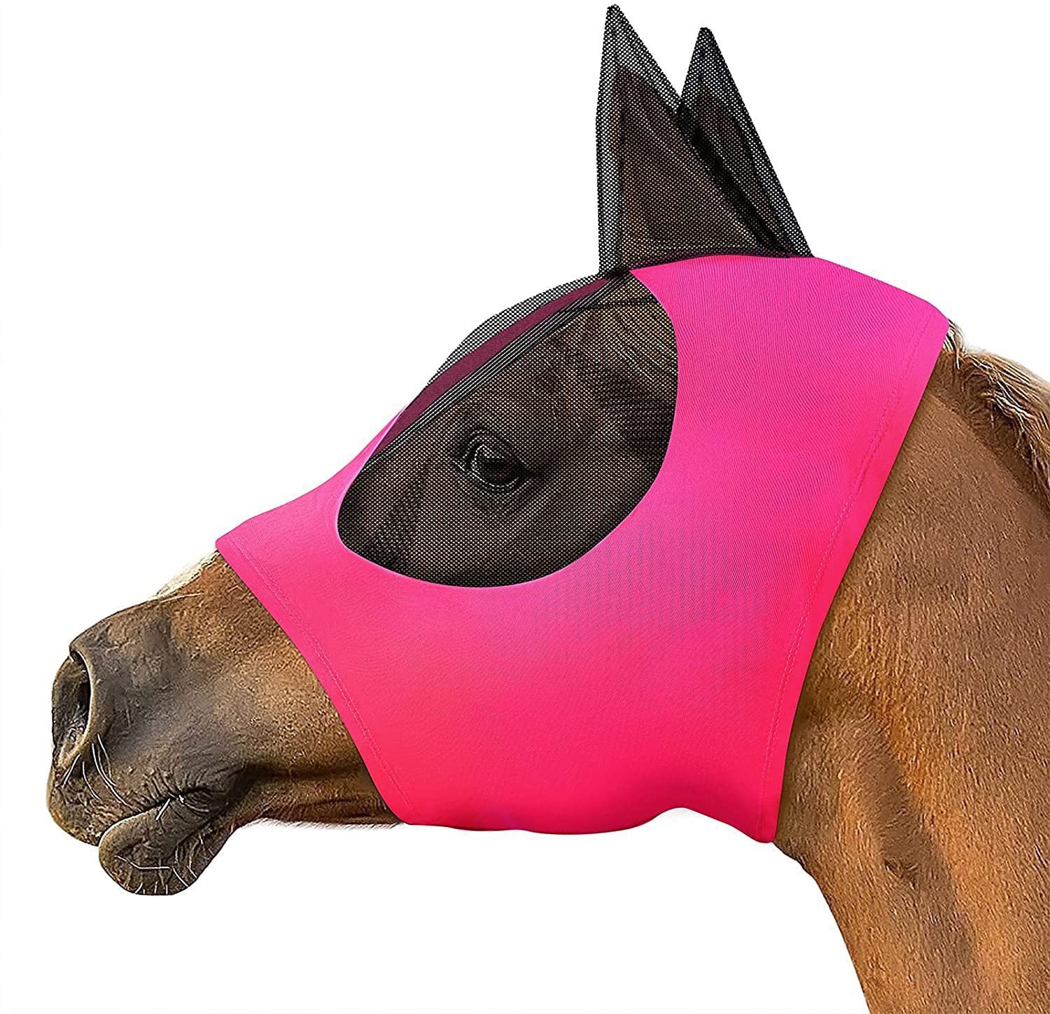 🐴🌬️ Maschera Protettiva Viso Cavallo - Scudo Totale Anti-Vento, Anti-Insetti e Anti-Polvere!