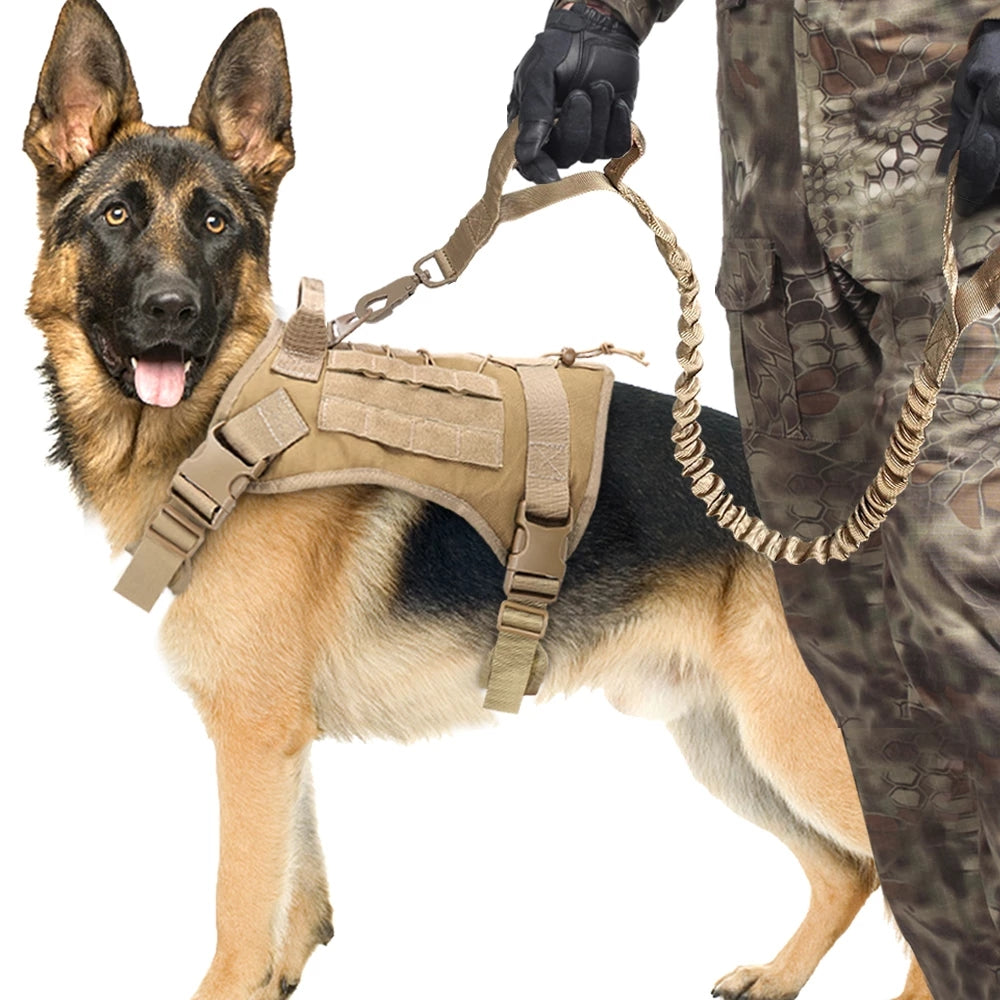 🐶⚡ Guinzaglio Tattico Bungee Anti-Strattone - Zero Strappi alla Spalla!
