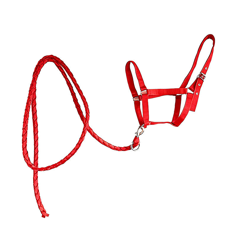 🐴🔗 Set Completo Capezza e Longhina Coordinata in Nylon - Resistenza e Stile in Scuderia