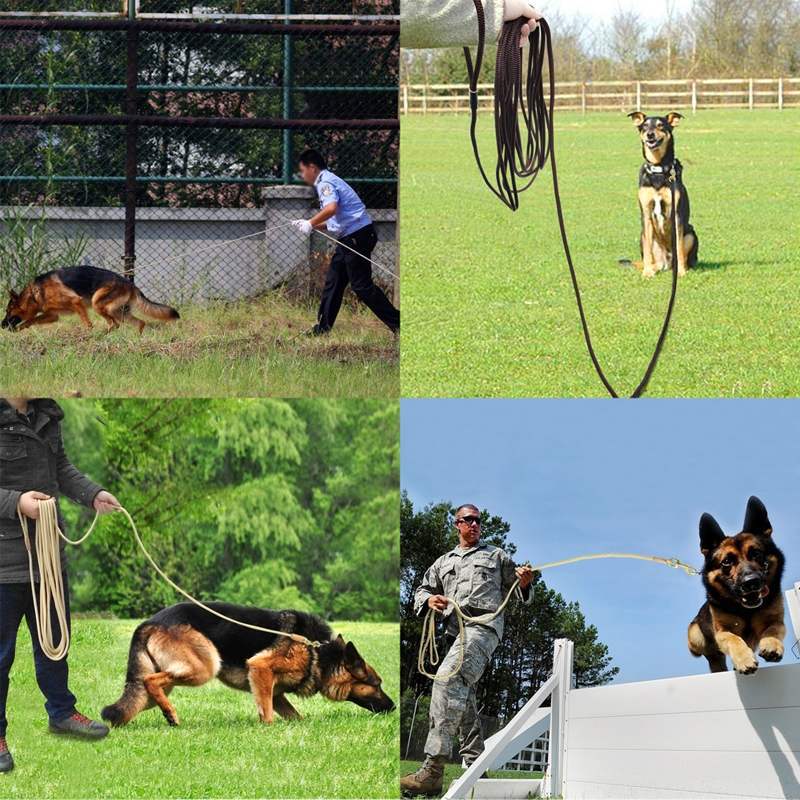 🐶📏 Lunghina da Addestramento e Ricerca - Fino a 20 Metri di Libertà Controllata!
