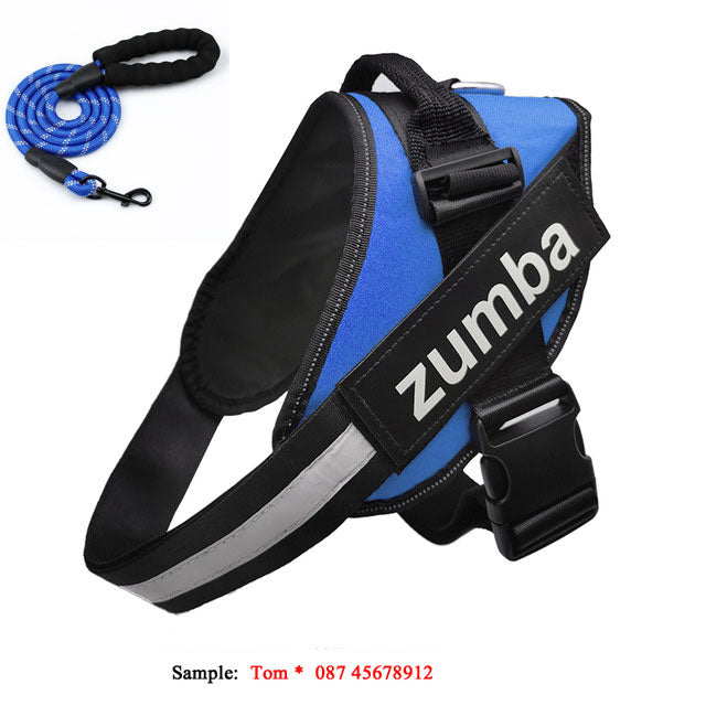 Pettorina Personalizzabile"ActiveDog" No-Pull: Controllo Assoluto, Design Ergonomico e Zero Tirate 🐕💪