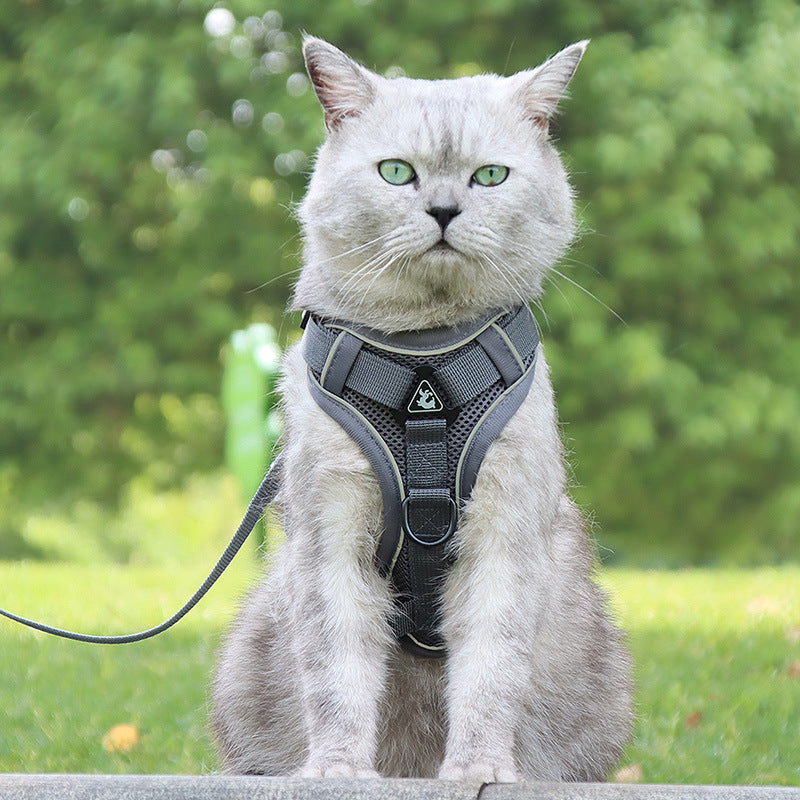 Pettorina Anti-Fuga per Gatti: Esplorazione Sicura, Comfort Leggero e Zero Stress 🐈🛡️