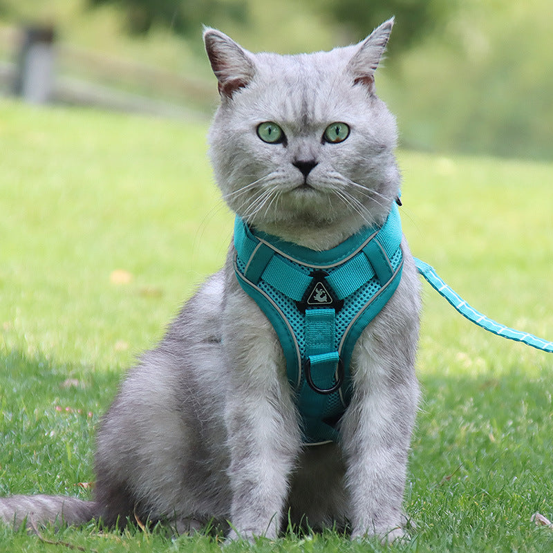 Pettorina Anti-Fuga per Gatti: Esplorazione Sicura, Comfort Leggero e Zero Stress 🐈🛡️