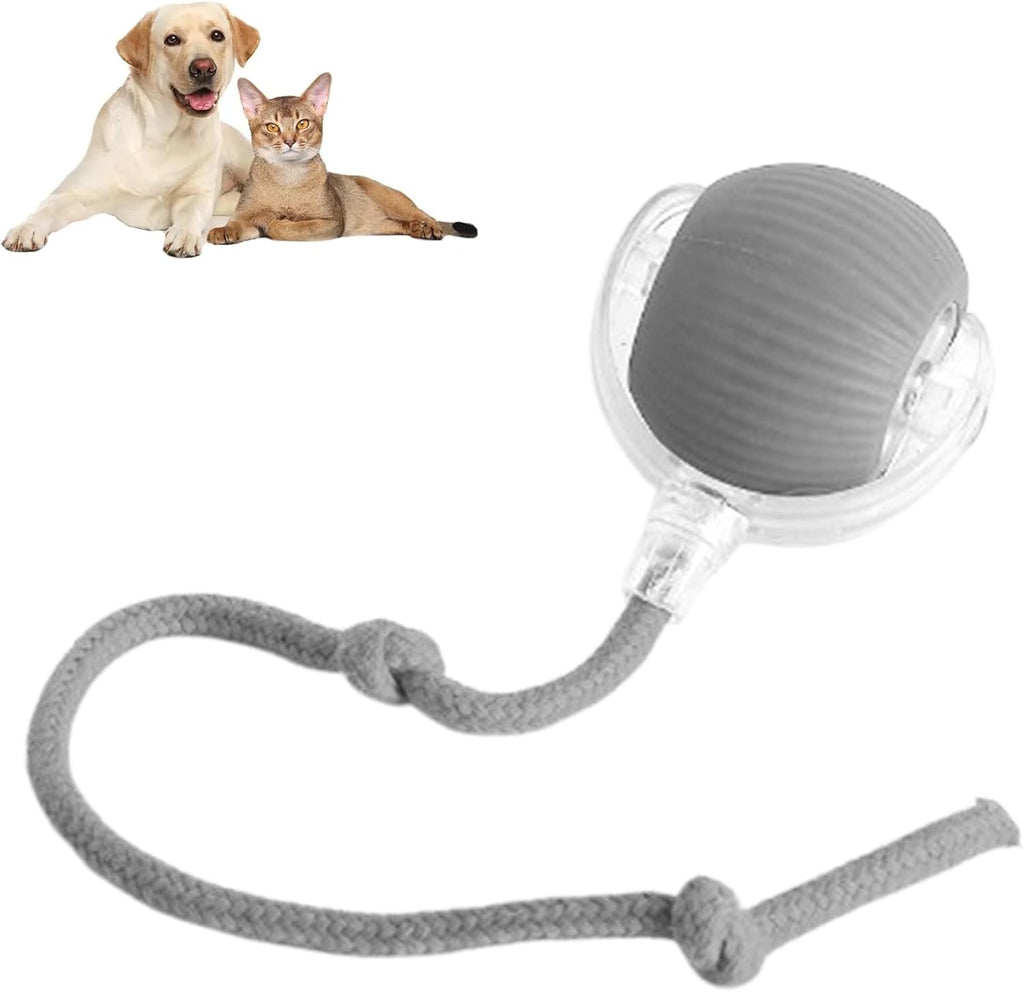 🐶⚽ Pallina Automatica Interattiva con Luce LED e Coda - Caccia al Tesoro Inesauribile!