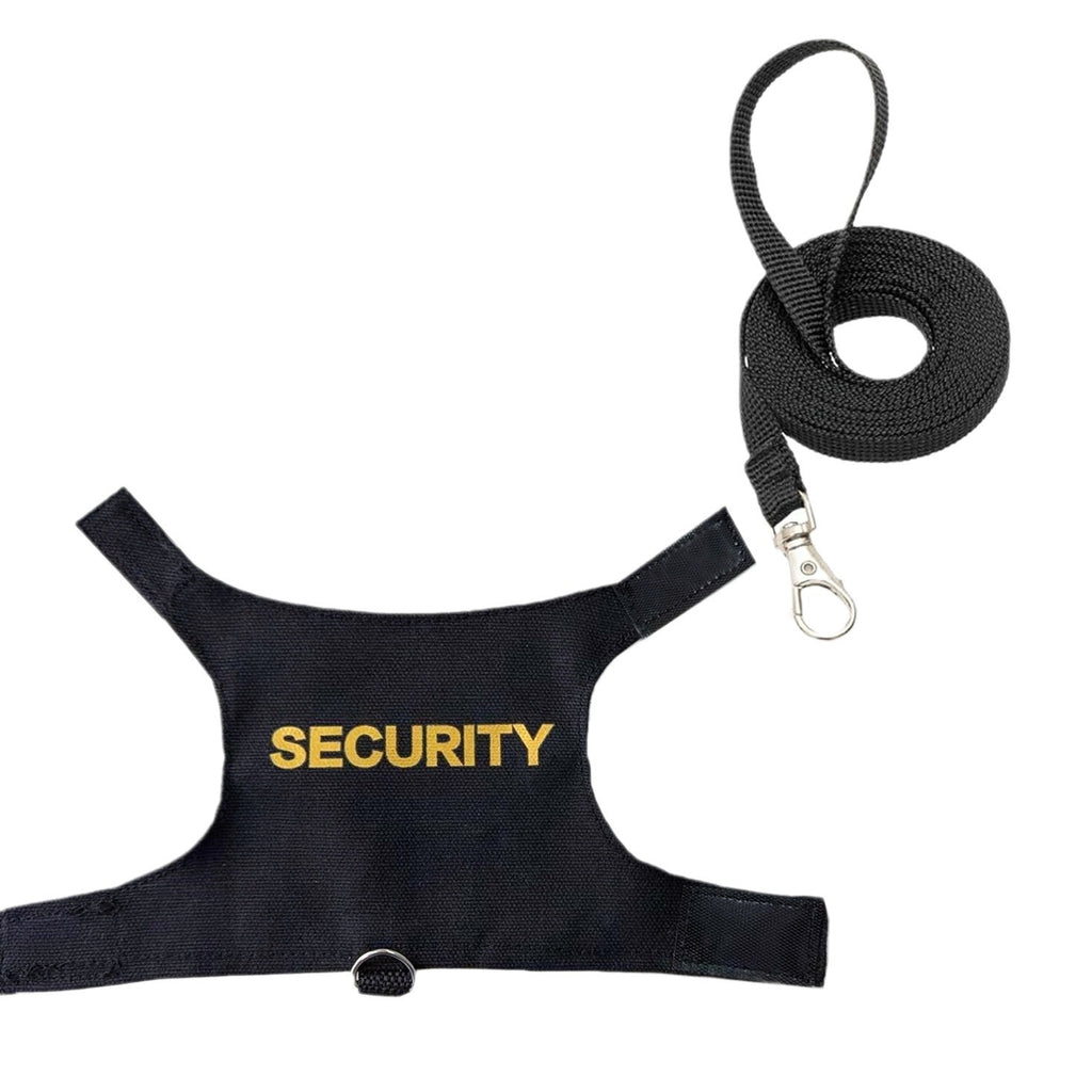 🦎🛡️ Pettorina e Guinzaglio "Security" per Rettili , Lucertole e Draghi Barbuti - Passeggiate Sicure!
