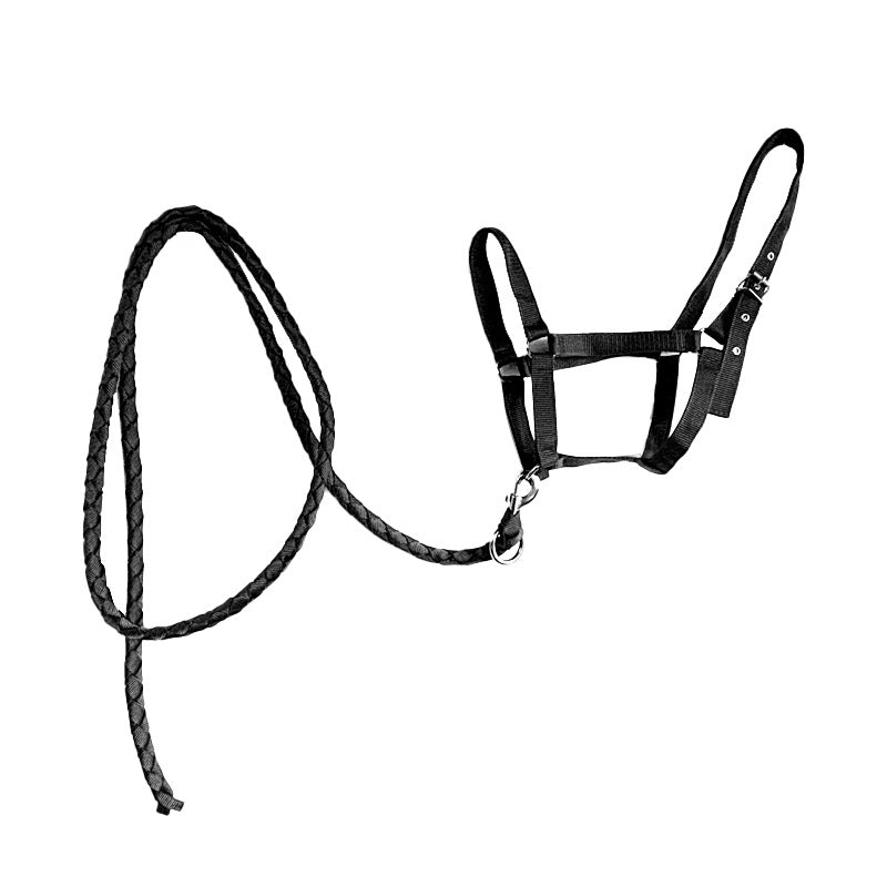 🐴🔗 Set Completo Capezza e Longhina Coordinata in Nylon - Resistenza e Stile in Scuderia