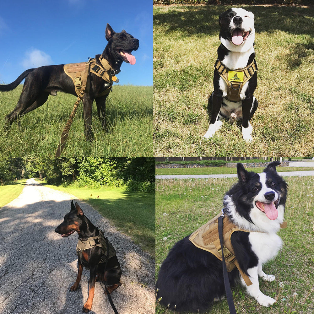 🛡️🐕 Pettorina Premium Tattica Militare per Cani Forti - Controllo Totale e Resistenza Estrema!